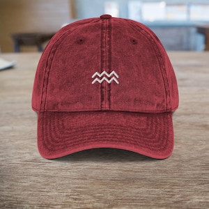 Vintage Embroidered Aquarius Hat - Minimalist Astrology Design