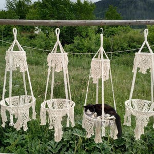 May include: Four macrame hanging planters with a white cat sleeping in one of them. The planters are made of natural cotton rope and have a fringed bottom.