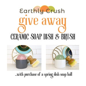 Summer Giveaway - Ceramic Dish & Brush Set,  Zero Waste Eco, Cleaning. Includes dish and brush! - Plant-Based