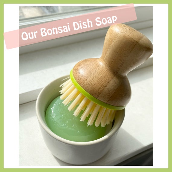 Solid Dish Soap Full Set for Hand Soap Too Cute Gift Idea. Zero