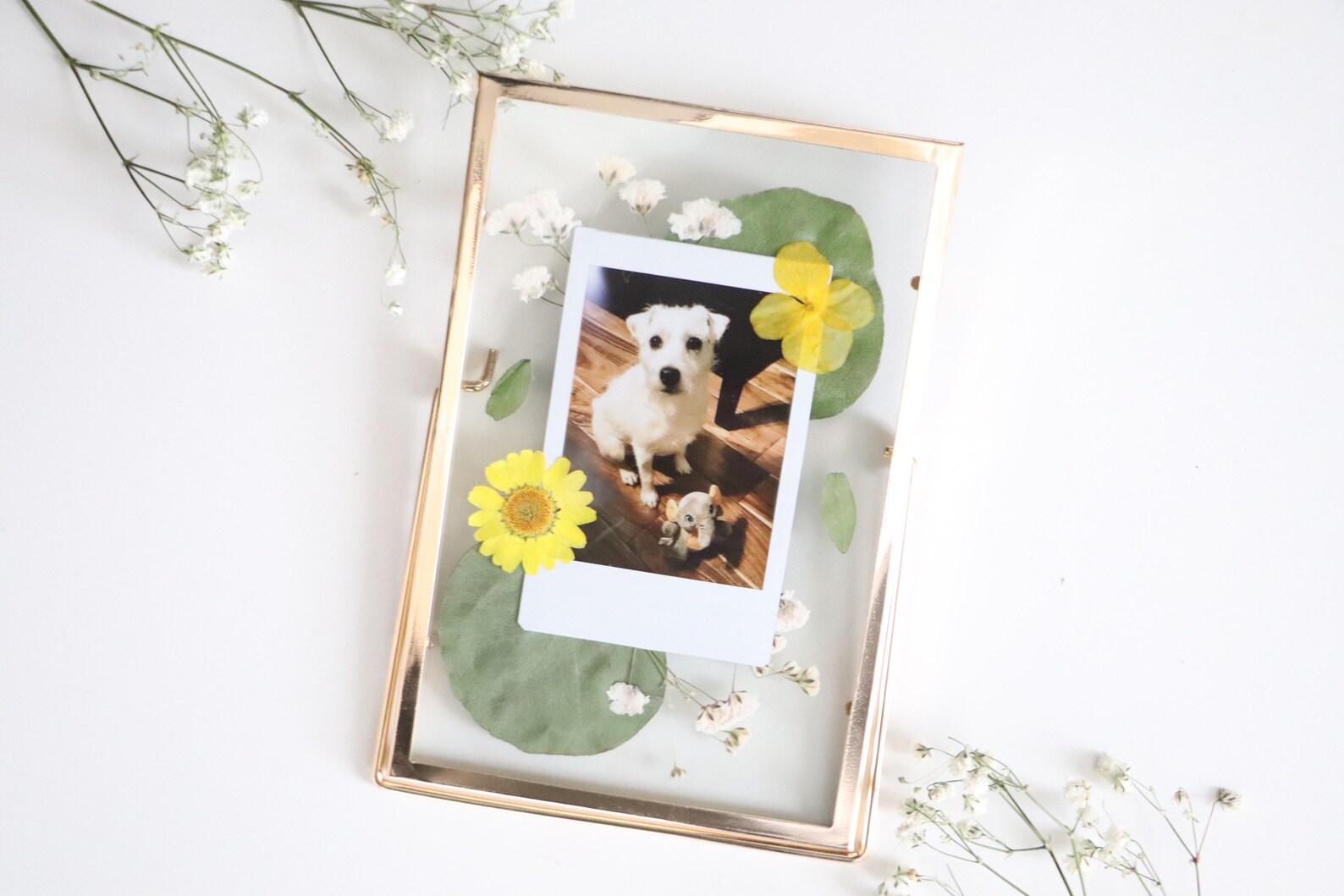 Polaroid Frame Pressed Flower Frame Custom Polaroid Etsy