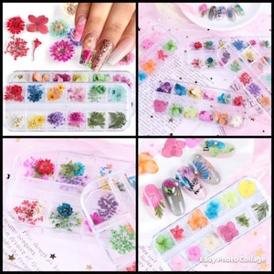 Mezclar flores secas decoraciones de uñas joyería, arte de resina, diseños de arte de uñas