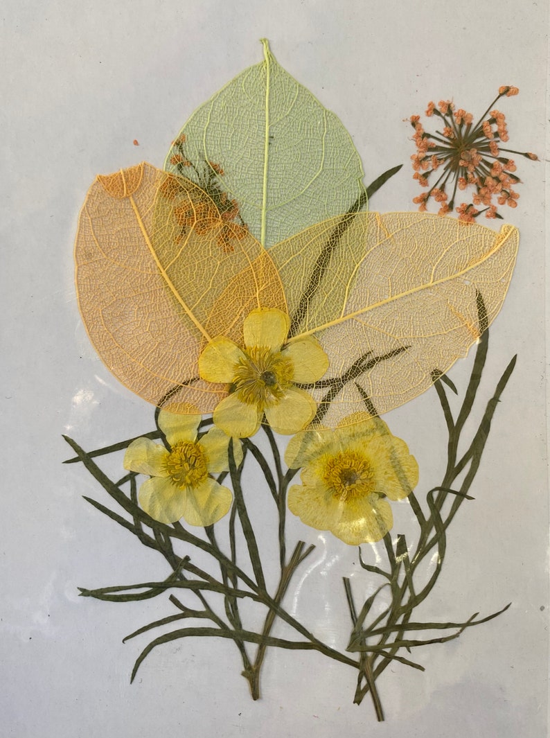 Dried Flowers for Resin and Diy Art Projects Etsy UK