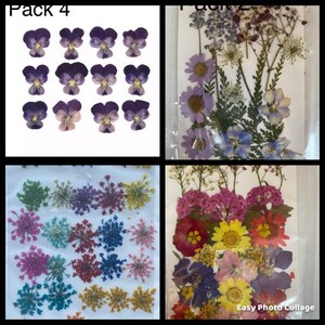 Flores secas para proyectos de resina y arte diy.