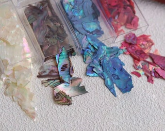 5g Box 3D Irregular Nail Art Abalone Seashell Slices Nail Art Shell Piece Irregular Nail Art Colorful Manicure UV Gel Flake