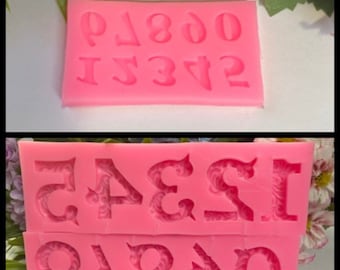 Food grade silicone grade Silicone moulds resin casting mould, UV and epoxy resin, jewellery making.