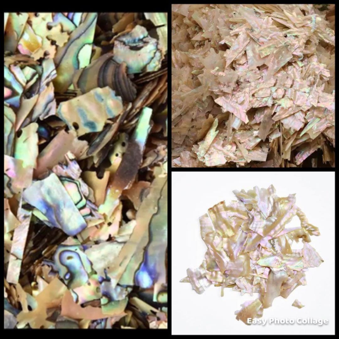 Shell Flakes 5g Colour -changing Abalone Natural Sea Shell Flakes for Nail Art ...