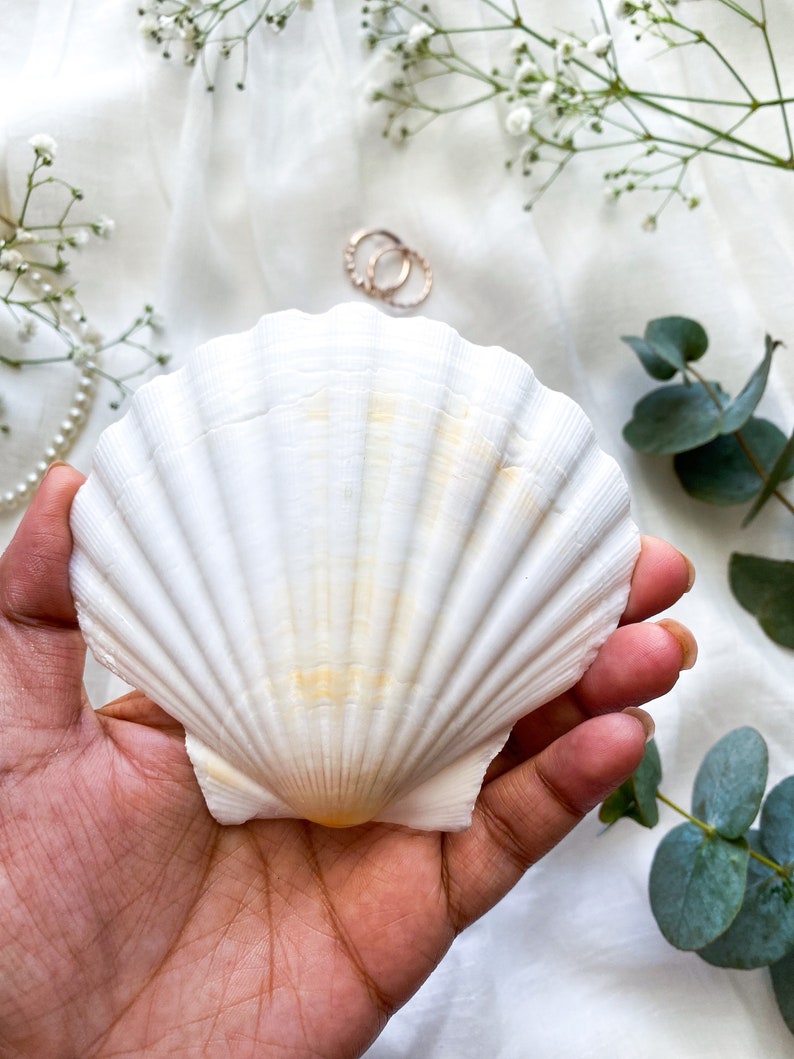 Hand Painted Shell Ring dish, Gift for Her, Christmas gifts, Ring Dish, Trinket Tray image 4