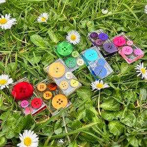 Peut inclure: Un ensemble de sept dominos en résine colorés, chacun présentant un assortiment différent de boutons. Les dominos sont disposés en arc-en-ciel sur un lit d'herbe verte.