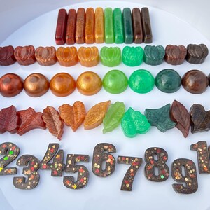 Autumn Nature Numbers 1-10
