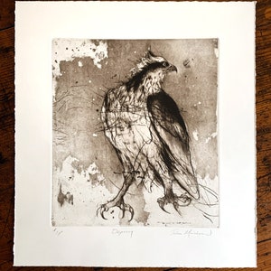 Original Etching by Jake Muirhead. Title: Osprey. Fine Art, Intaglio