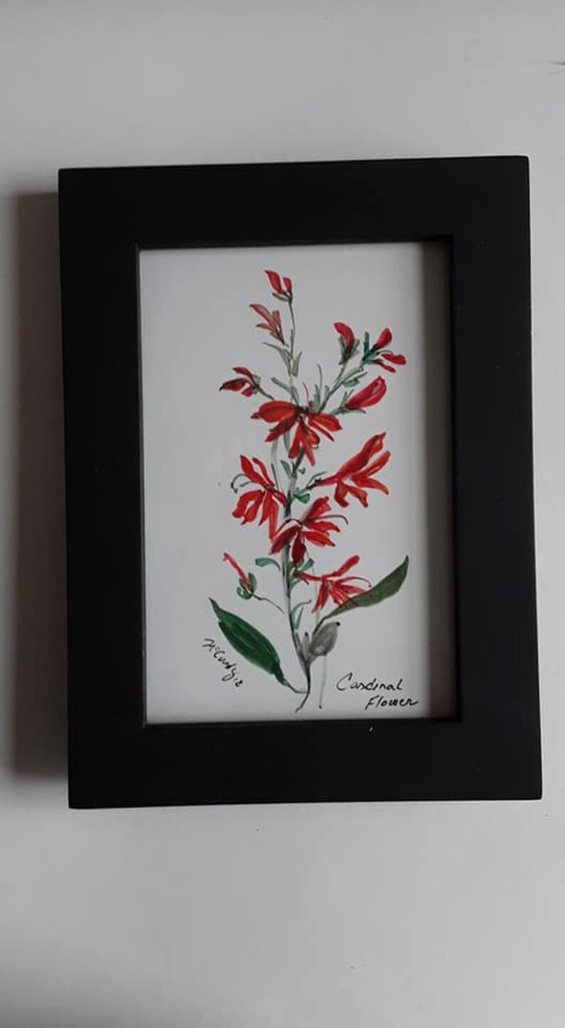 Cardinal Flowers