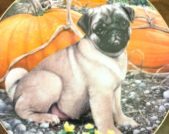 Charity Listing - Danbury Mint Pumpkin Patch Pug Limited Edition Plate No. F9521 by Simon Mendez