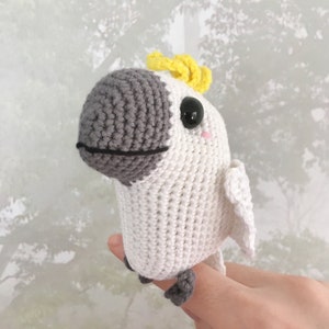 cockatoo parrot types cockatoo parrot types