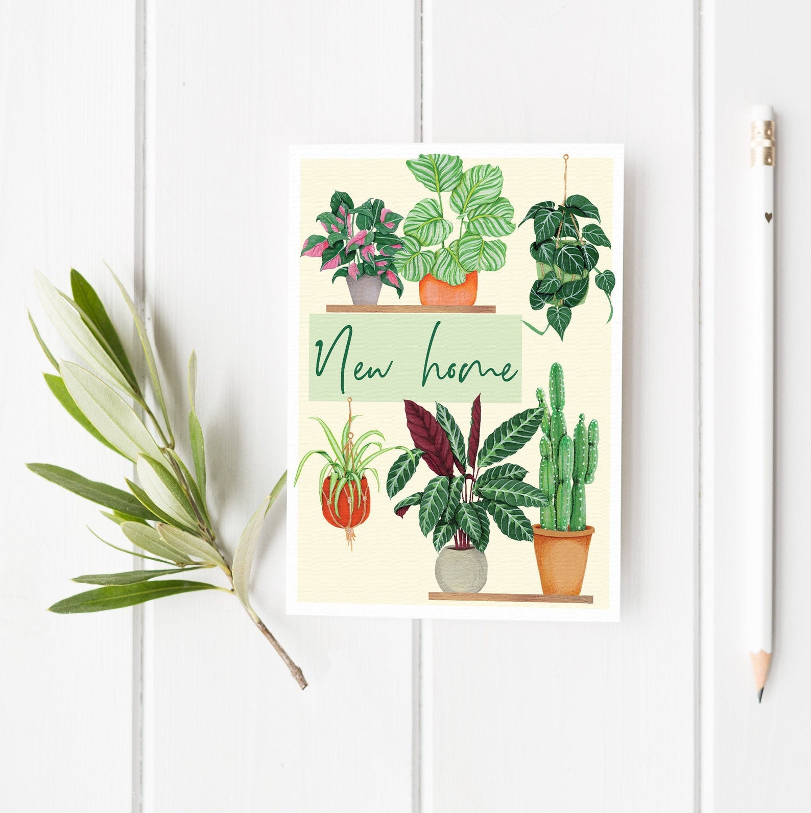 New Home Plants Card New House Greetings Card Housewarming Etsy