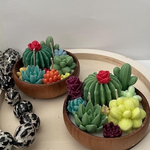 Kakteen schssel - Etsy.de