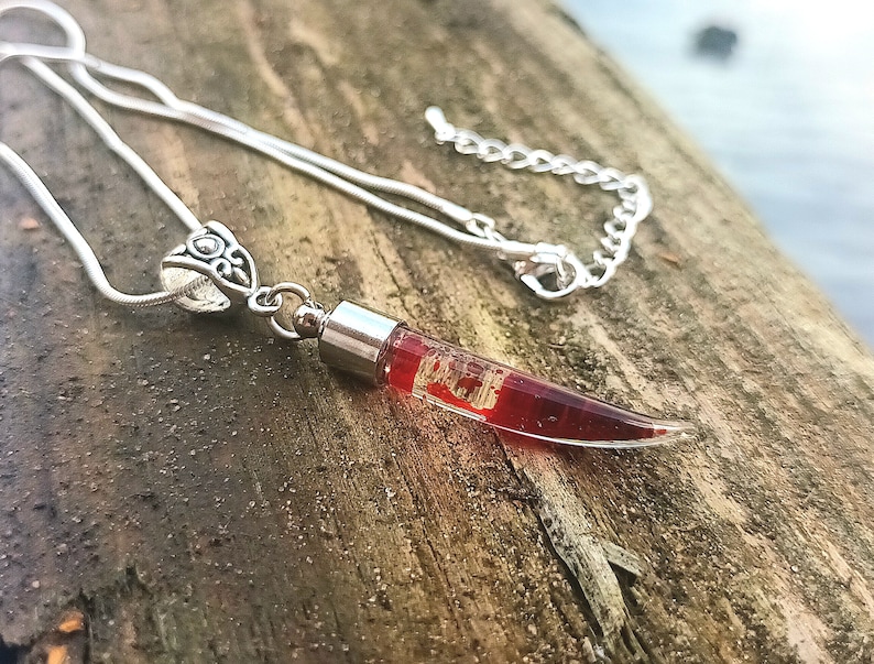 May include: A silver necklace with a pendant shaped like a red horn. The horn pendant is filled with a clear resin and small, light-colored inclusions. The necklace chain is a thin, silver snake chain.