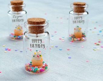 Message dans une bouteille, cadeau d'anniversaire mignon, carte d'anniversaire alternative, cadeau de gâteau, cadeau pour lui, cadeau d'amitié mignon, cadeau pour elle, pot de souhaits