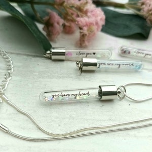 Glass Vial Necklace, Glass Vial Pendant, Silver Plated Necklace, Romantic Gift For Her, Girlfriend Gift, Bottle Jewellery, Tube Necklace