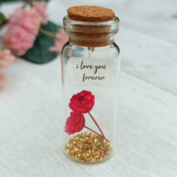 Flower Message In A Bottle, Romantic Gift, Anniversary Gift for Him/Her, Dried Flowers, Wish Jar, Valentines Gift for Her, Cute Love Gift