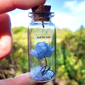 Message dans une bouteille, Rose dans une bouteille, cadeau réconfortant, bouteille miniature, cadeau romantique pour lui, petit souvenir, cadeau mignon pour elle, pot à souhaits
