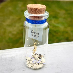 Vous êtes un cadeau d’étoile, un cadeau d’amitié, un message dans une bouteille, un cadeau d’appréciation, une étoile dans un pot, un cadeau de réconfort, un cadeau de pensée, un pot de souhaits