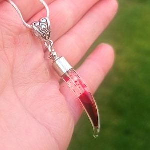 May include: A silver-toned necklace with a pendant featuring a clear, horn-shaped vial filled with red liquid and small white particles. The pendant is suspended from a delicate silver chain. The pendant's top has a decorative silver cap.