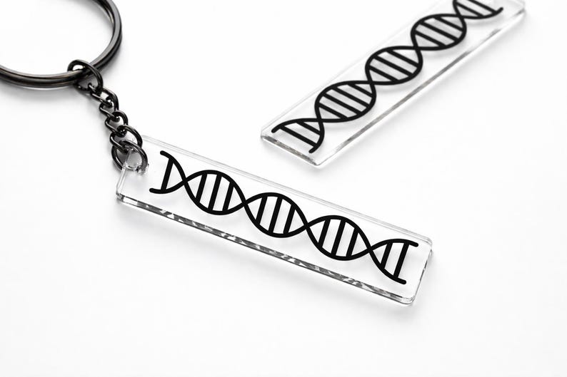 DNA Keychain, Double Helix, Acrylic Keyring, Scientist Gift, Biology ...