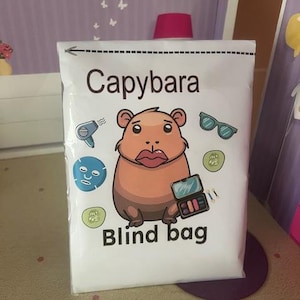 Könnte beinhalten: Ein weißer "Capybara Blind Bag" mit einer Cartoon-Capybara-Illustration. Der Beutel hat eine gepunktete Linie zum Öffnen und enthält Grafiken eines Haartrockners, einer Sonnenbrille, einer Gesichtsmaske, Gurkenscheiben und Make-up.