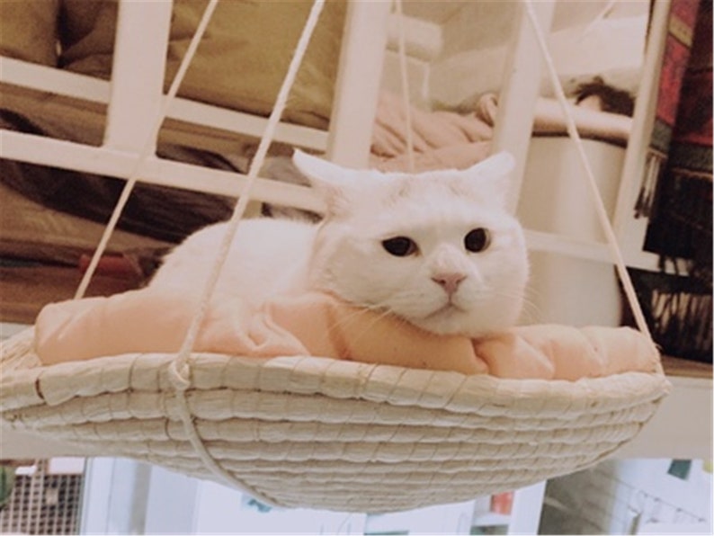 Wicker Rattan Cat Swing Bed Cat Supplies Hanging Basket Etsy