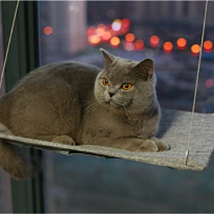 heart to tail window mounted cat bed