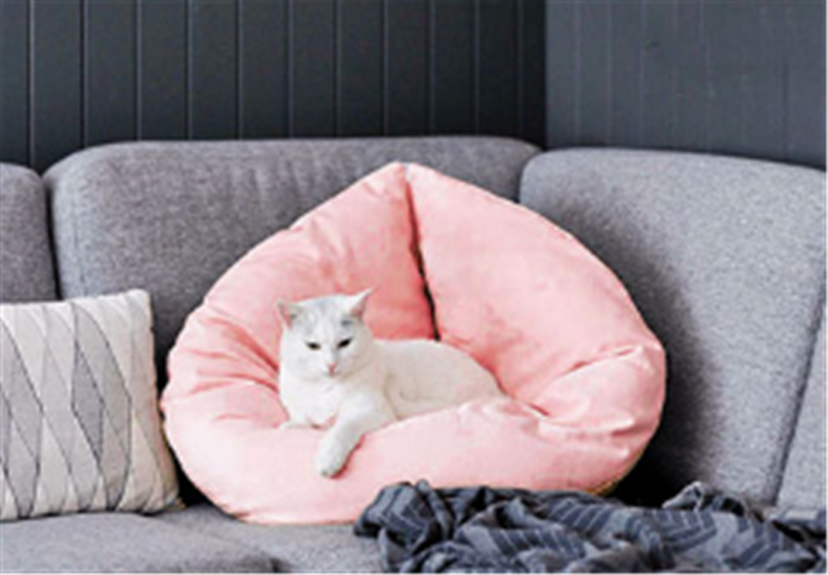 Klappbare weiche Plüsch Katze Hund Bett Marshmellow Donut Etsy