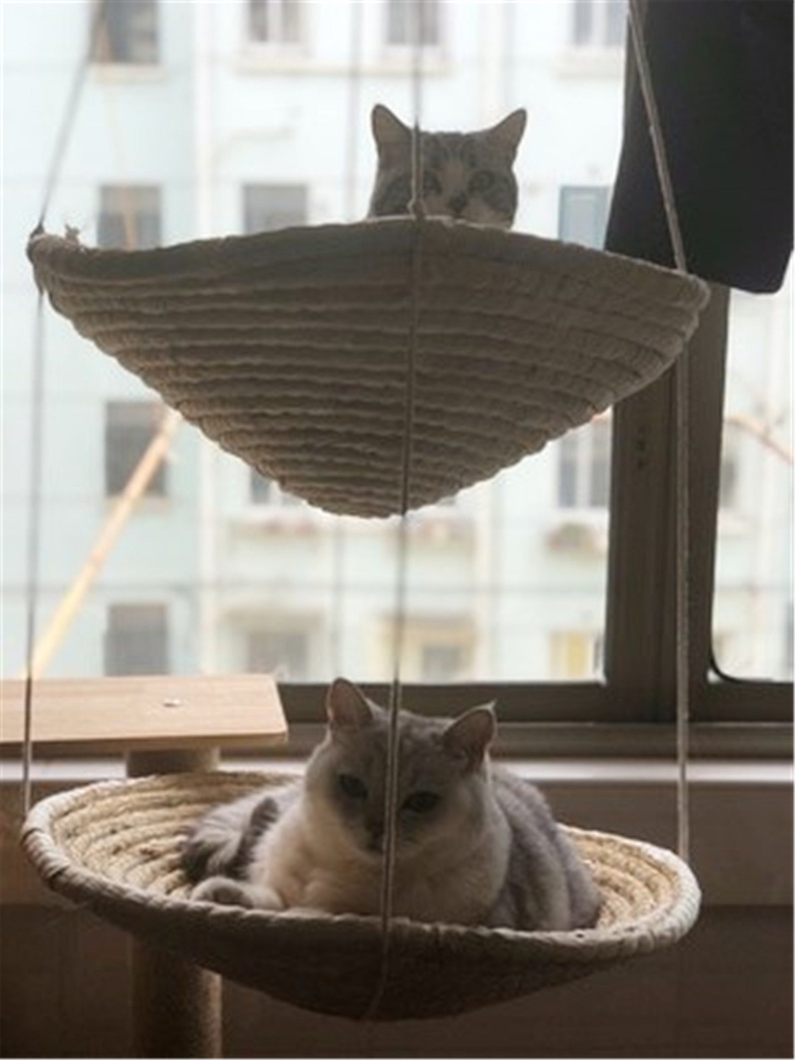 Wicker Rattan Cat Swing Bed Cat Supplies Hanging Basket Etsy