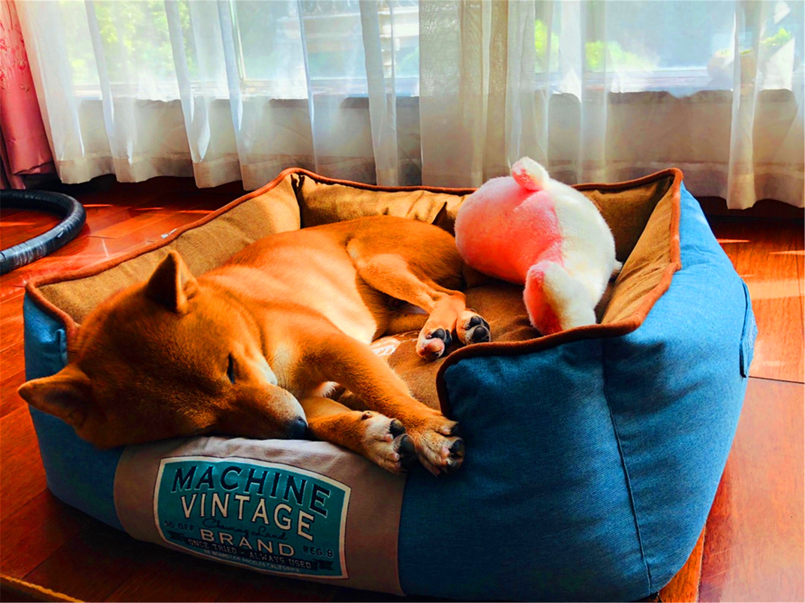 Best Tuft & Needle Dog Puppy Bed Couch House Okayseason Boho Etsy