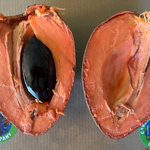 Fresh Mamey Sapote Fruit