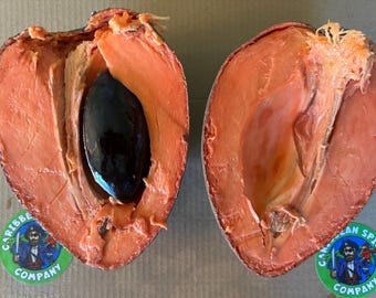 Fresh Mamey Sapote Fruit