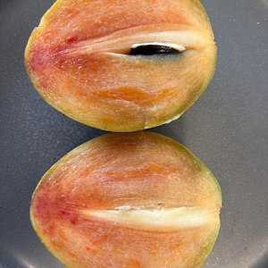 Organic Hasya Sapodilla Seeds