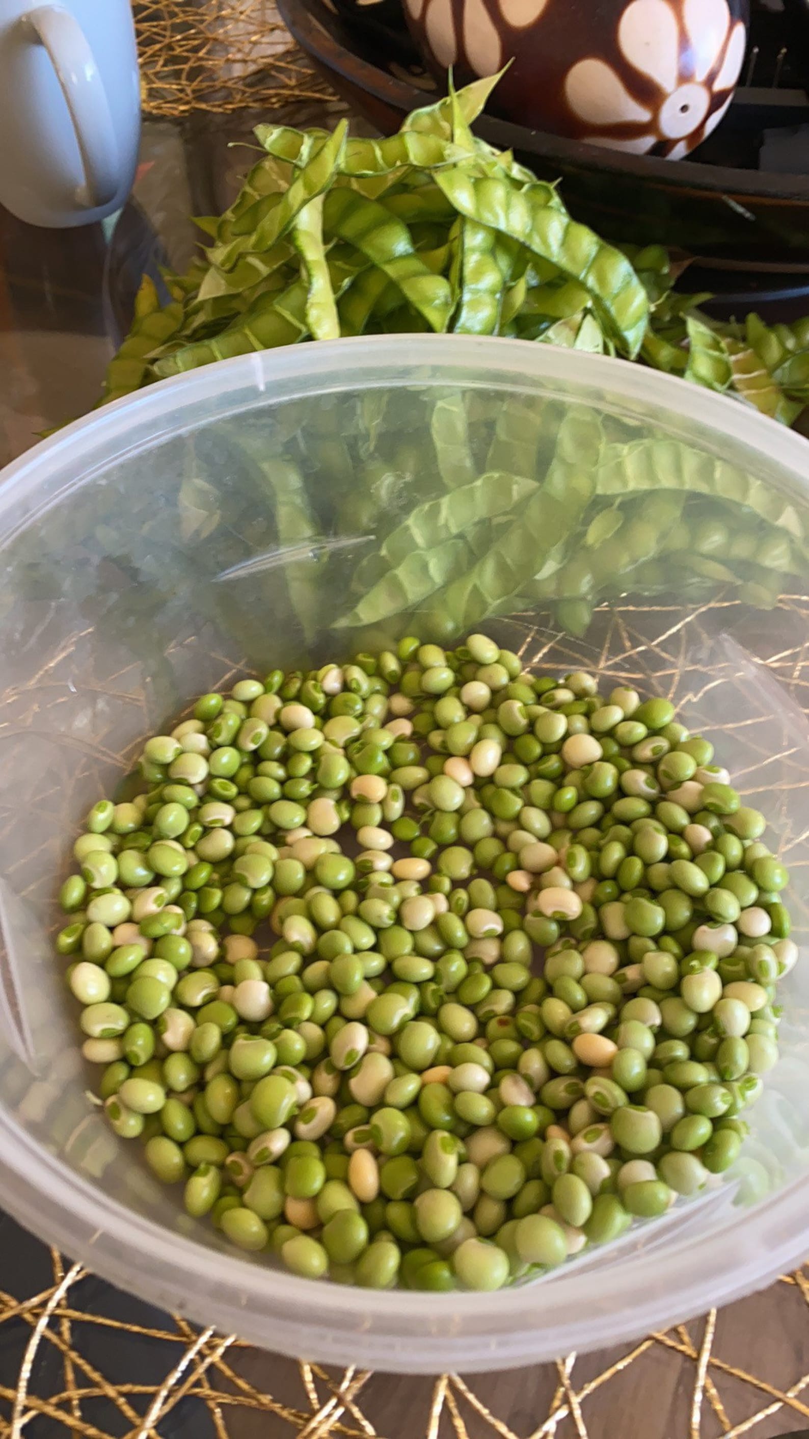 Pigeon Peas Seeds 25ct Etsy