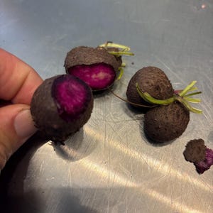 Ube Air Potato Bulbils: Rare Purple Yam Vine for Planting