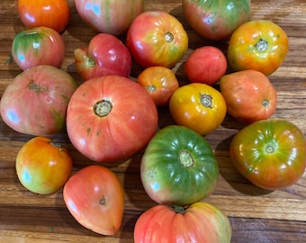 Assorted Heirloom Tomato Seeds
