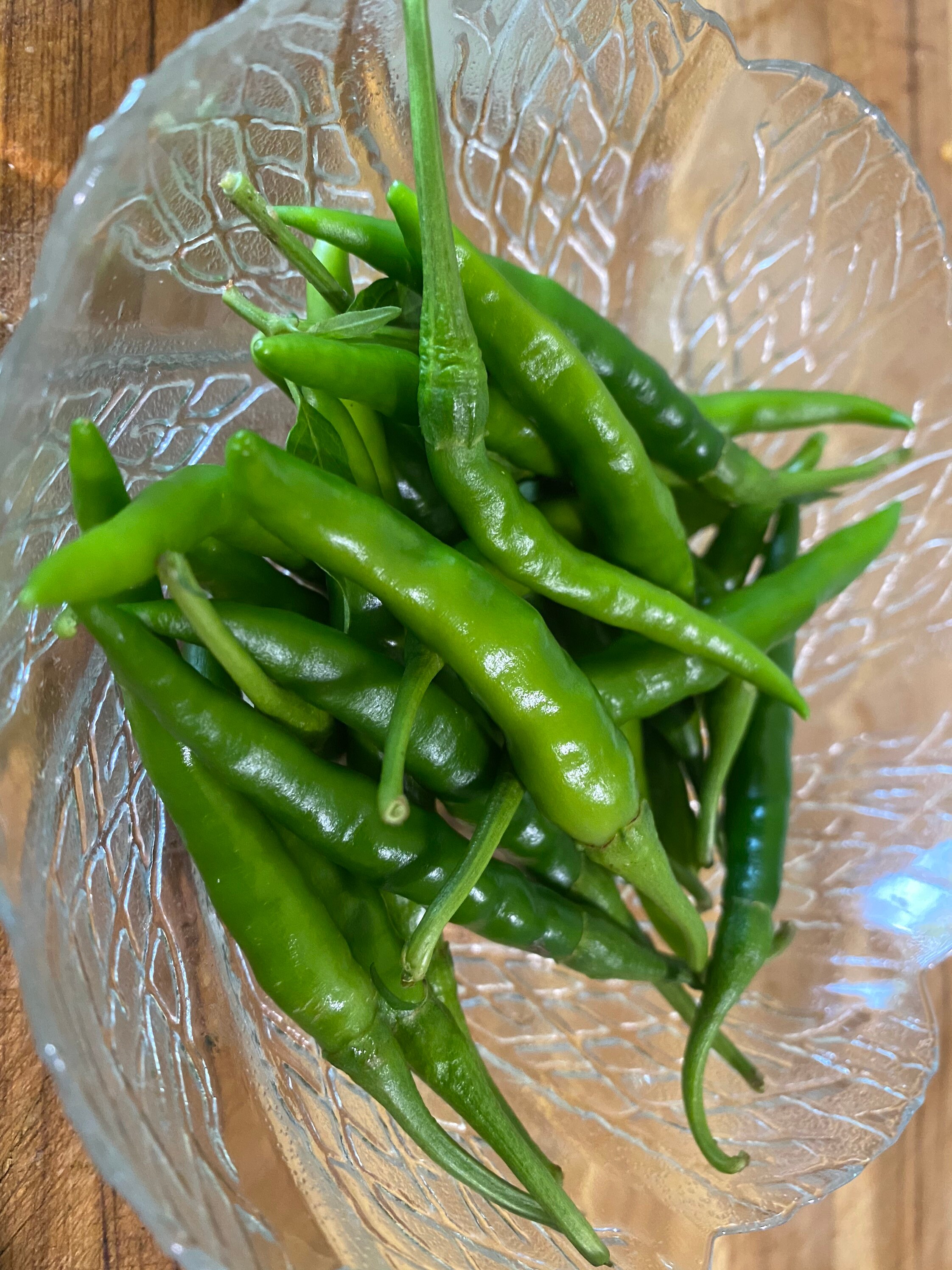 Thai Chili 15 Seeds Etsy