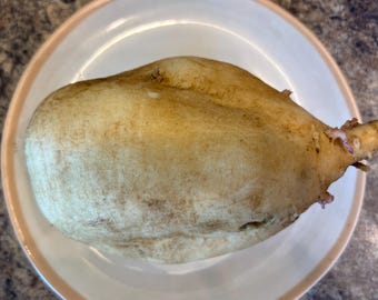 Hannah Sweet Potato Slips for planting