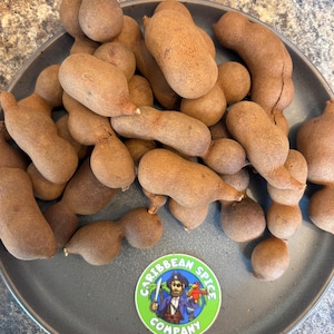 Fresh Sweet Tamarind Fruit by the Pound – Premium Tropical Snack