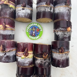 Thai Purple Sugarcane Nodes for Planting, Fresh Cuttings 1-3 Inches