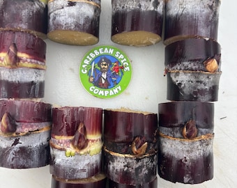 Thai Purple Sugarcane Nodes for Planting, Fresh Cuttings 1-3 Inches