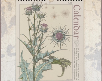 May include: A 2027 wall calendar featuring a botanical illustration of a thistle plant with purple flowers and green spiky leaves on a cream background. The text reads Calendar 2027, Pl. 53, Thistle, Chardon, Die Distel, and copyright information.