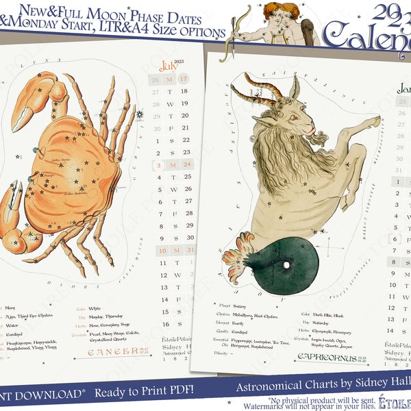 Astrology Calendar 2023 - Printable / Digital Download Monthly Wall Calendar Zodiac Signs & Traits Antique Illustrations by Sidney Hall