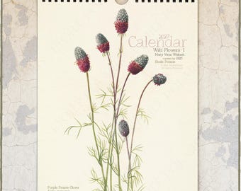 May include: A 2027 wall calendar featuring a botanical illustration of Purple Prairie Clover flowers with deep red and green cone-shaped heads on thin stems. The cream-colored page includes the text 2027 Calendar, Wild Flowers-I, Mary Vaux Walcott, and Dalea purpurea, bound with a black wire spiral at the top.