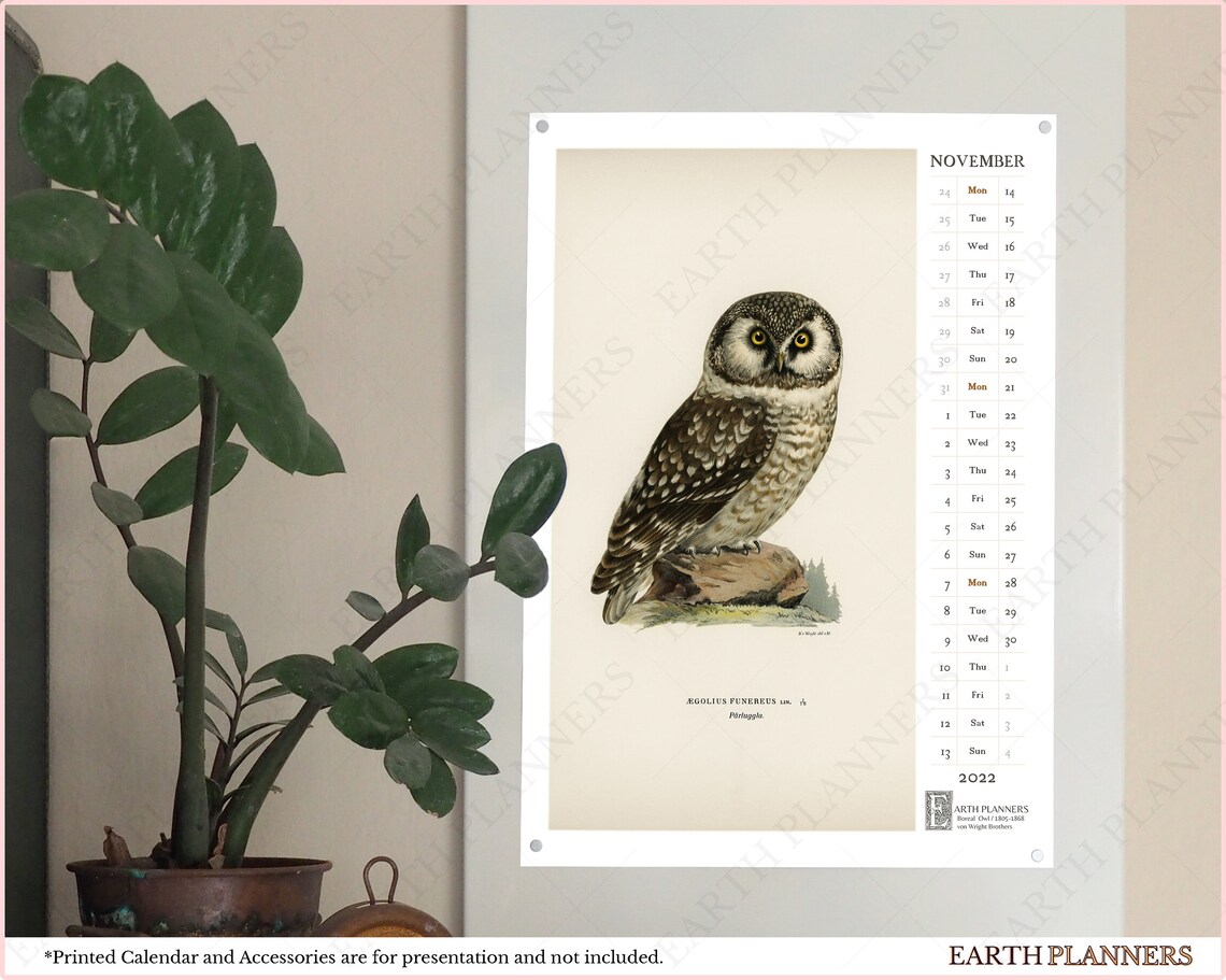 Owl Calendar 2022 Printable / Monthly Wall Calendar Antique Etsy