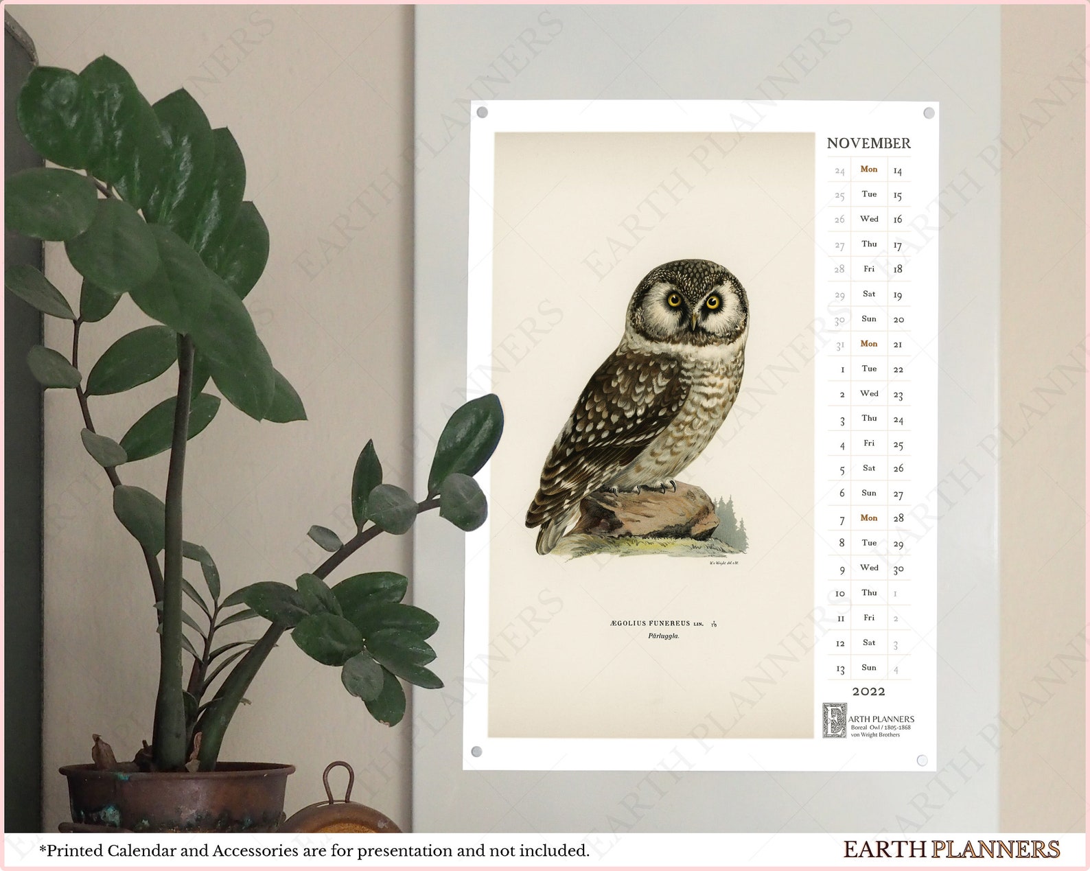 Owl Calendar 2022 Printable / Monthly Wall Calendar Antique Etsy